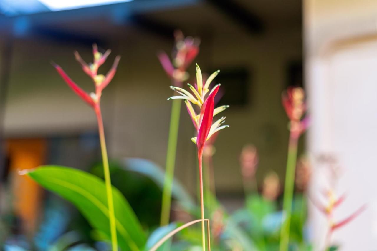 Noahs Hideaway Luxury B&B Lahaina Eksteriør billede