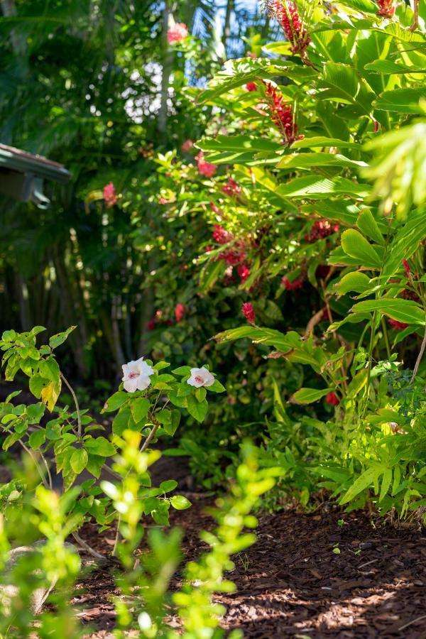 Noahs Hideaway Luxury B&B Lahaina Eksteriør billede