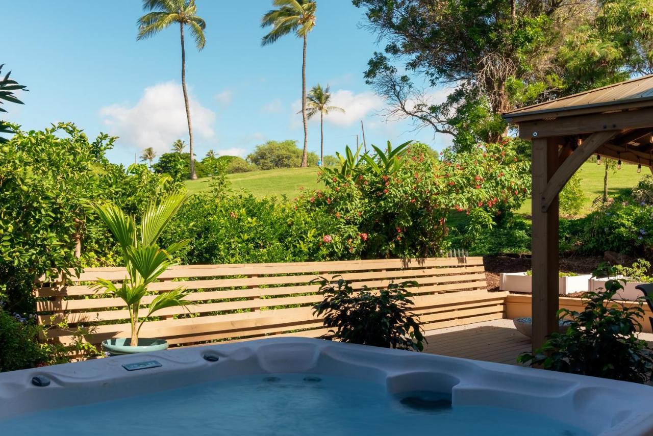 Noahs Hideaway Luxury B&B Lahaina Eksteriør billede